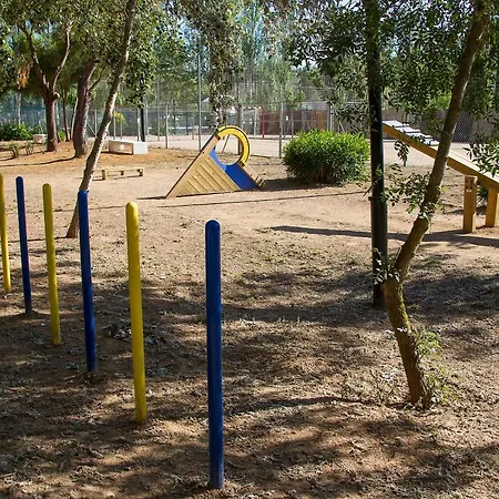 Tamarit Beach Resort 4* 塔拉戈纳